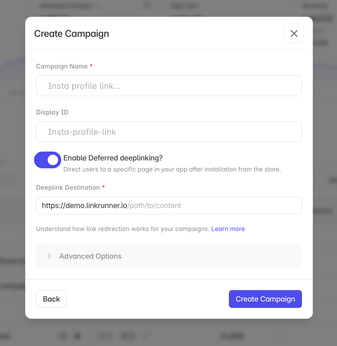 Create Campaign Screenshot